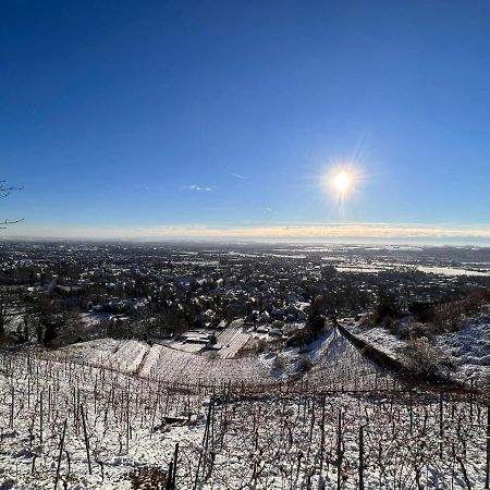 Apartmán Alte Post Altwahnsdorf Radebeul Exteriér fotografie